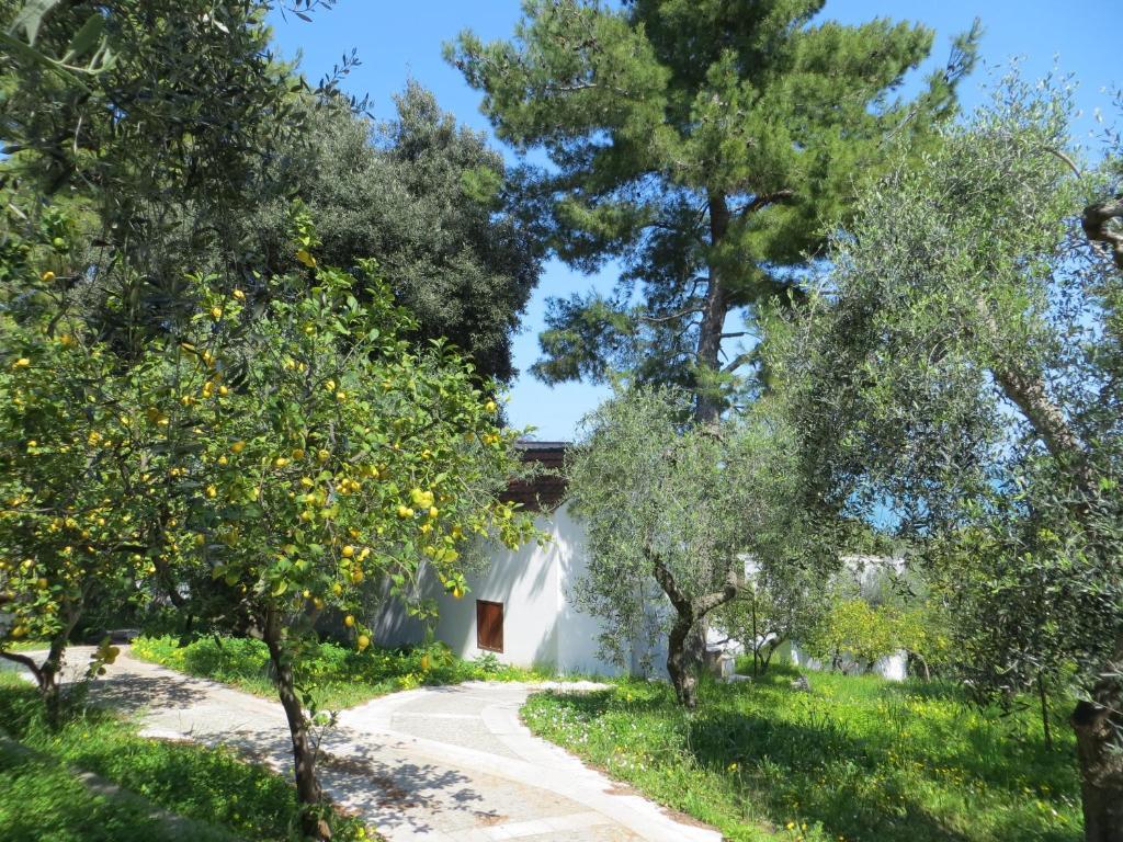 Villaggio Hotel Ripa Rodi Garganico Exterior photo